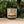 Load image into Gallery viewer, Deck The Halls And Not Your Family Fa La La Soy Candle
