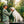 Load image into Gallery viewer, Marsh Wear - Layover Fleece Crew - Mallard
