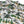 Load image into Gallery viewer, Two Dove - The Rio - South Coast Camo
