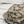 Load image into Gallery viewer, Two Dove - Camo Gramps Cap
