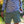 Load image into Gallery viewer, Burlebo - Everyday Shorts - Light Sage
