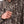 Load image into Gallery viewer, Duck Camp - Lightweight Hunting Shirt - Long Sleeve - Woodland
