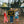 Load image into Gallery viewer, Raise Hell, Kid - Camp Flag
