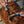 Load image into Gallery viewer, Free Fly - Crew Lala - Dog Leash
