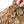 Load image into Gallery viewer, Duck Camp - Lightweight Hunting Shirt - Short Sleeve - Midland 2.0
