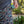 Load image into Gallery viewer, Burlebo - Everyday Shorts - Throwback Camo
