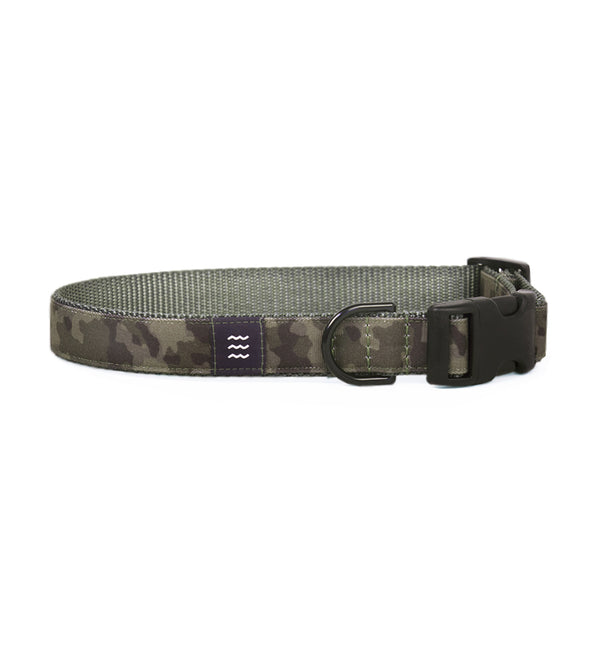 Free Fly - Crew Lala - Dog Collar