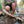 Load image into Gallery viewer, Duck Camp - Original Bamboo Crew - Midland 2.0
